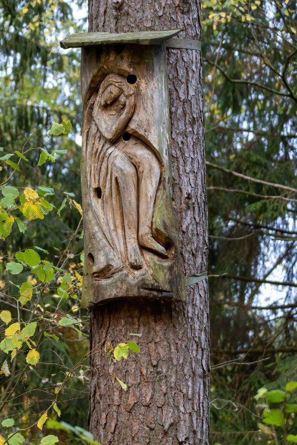 Puchata - Mazury * Pozezdrze