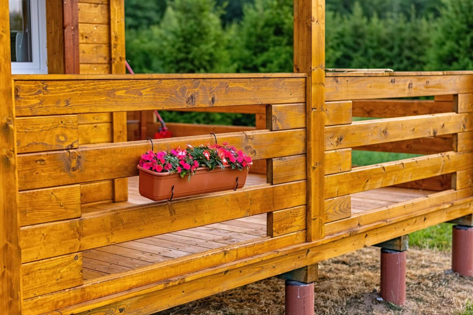 Puchata - Mazury *